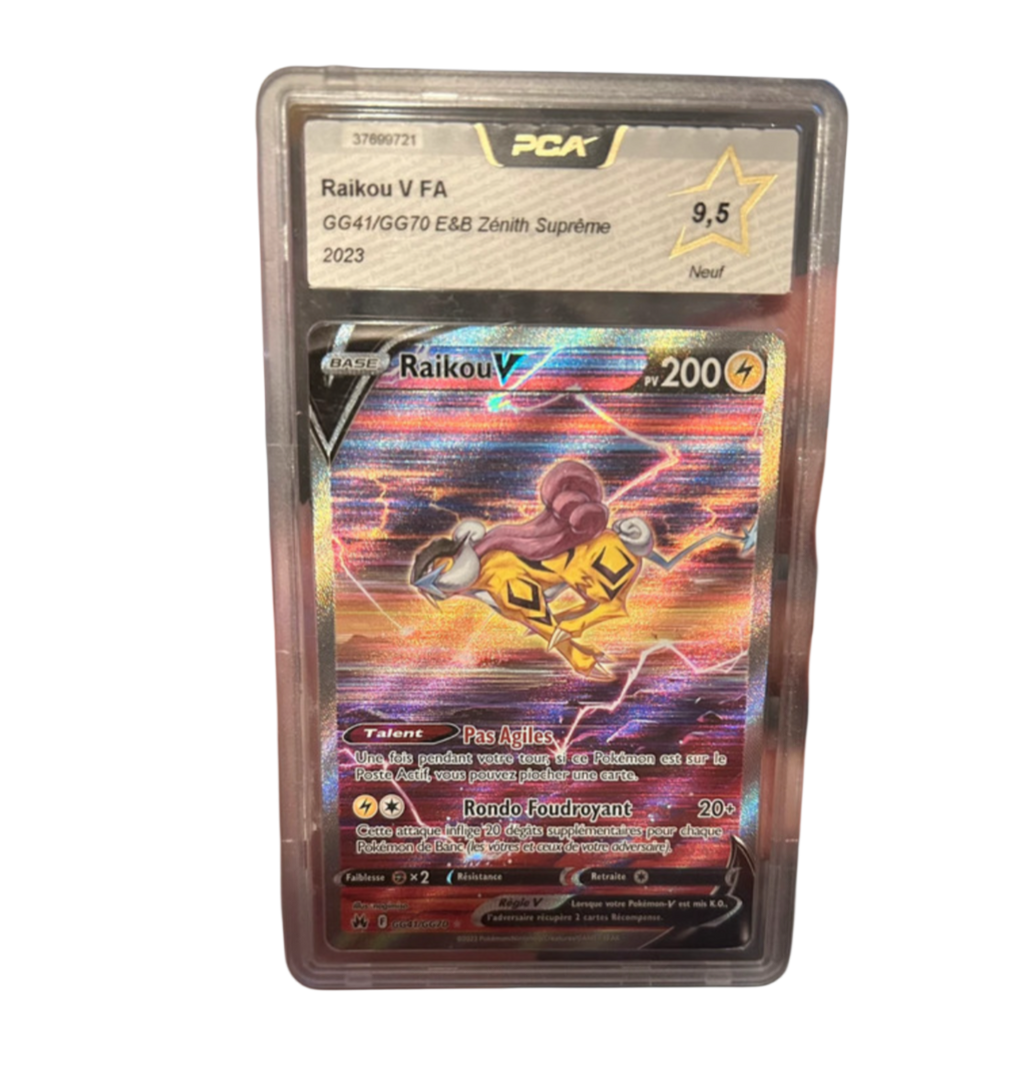 Raikou V GG41/GG70 – PCA 9.5