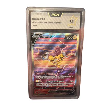 Raikou V GG41/GG70 – PCA 9.5
