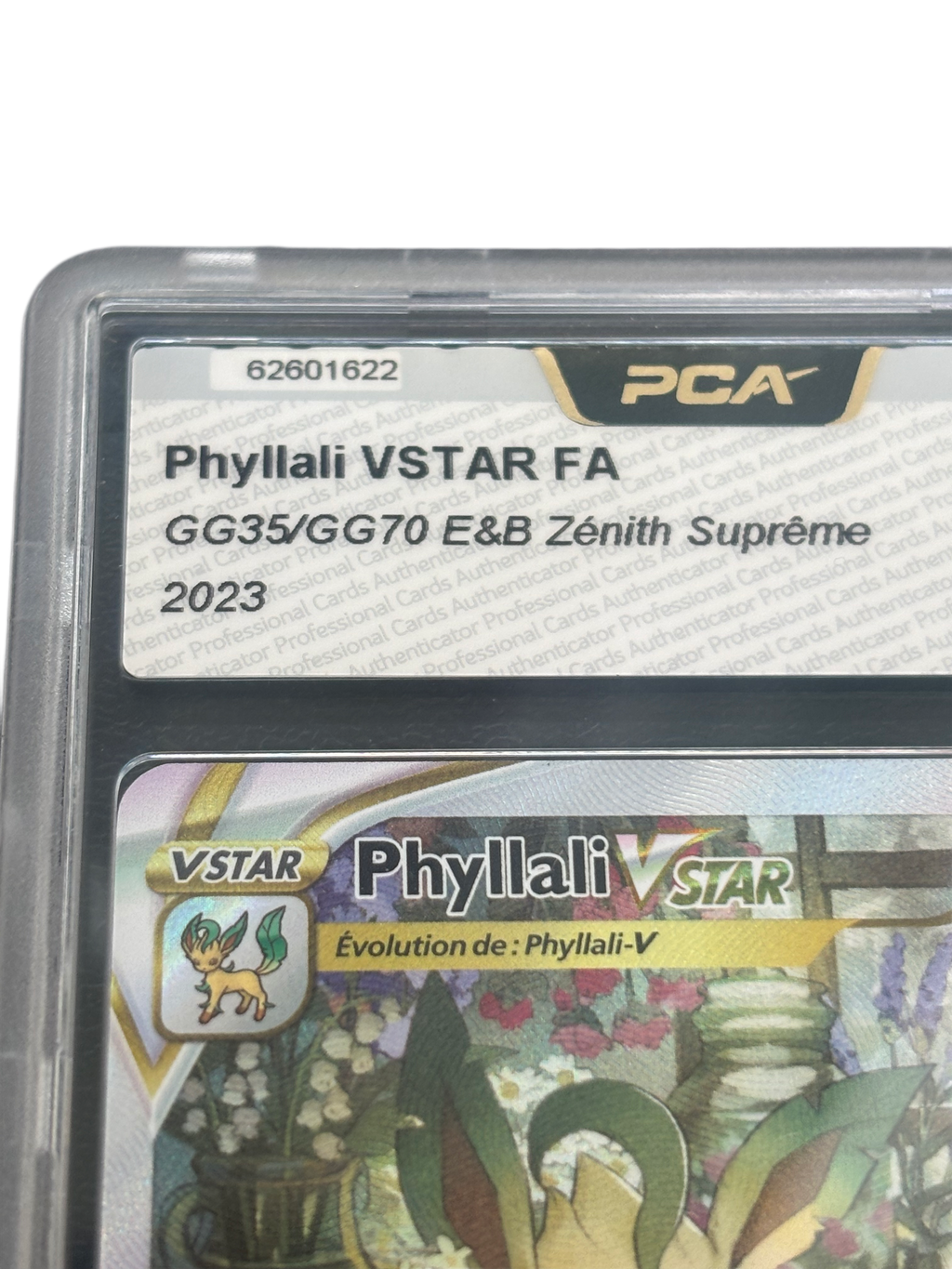 Phyllali VSTAR GG35/GG70 – PCA 9.5