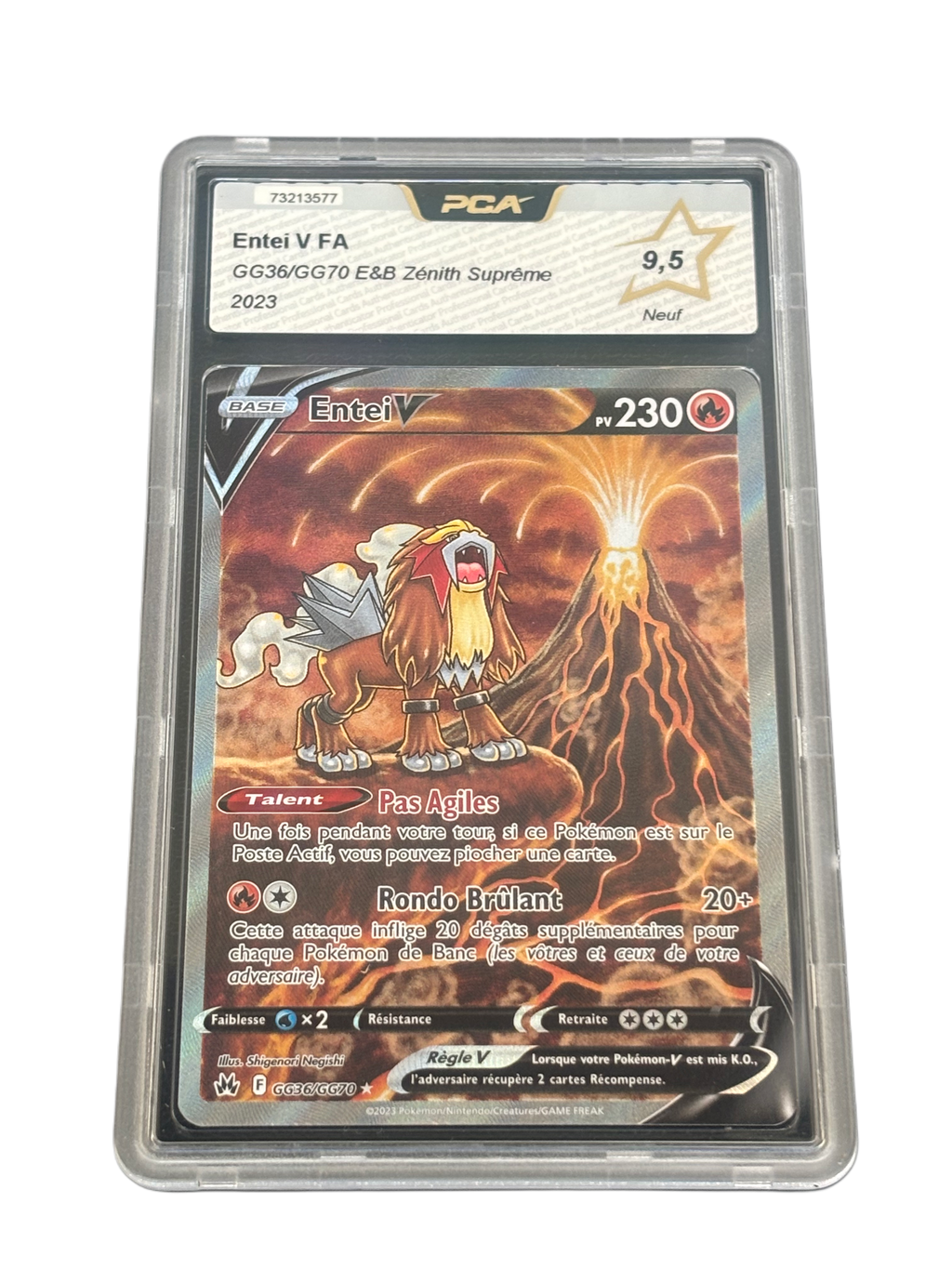 Entei V GG36/GG70 – PCA 9.5