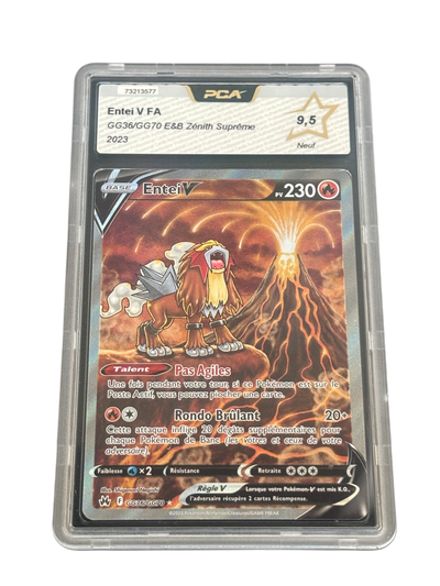 Entei V GG36/GG70 – PCA 9.5