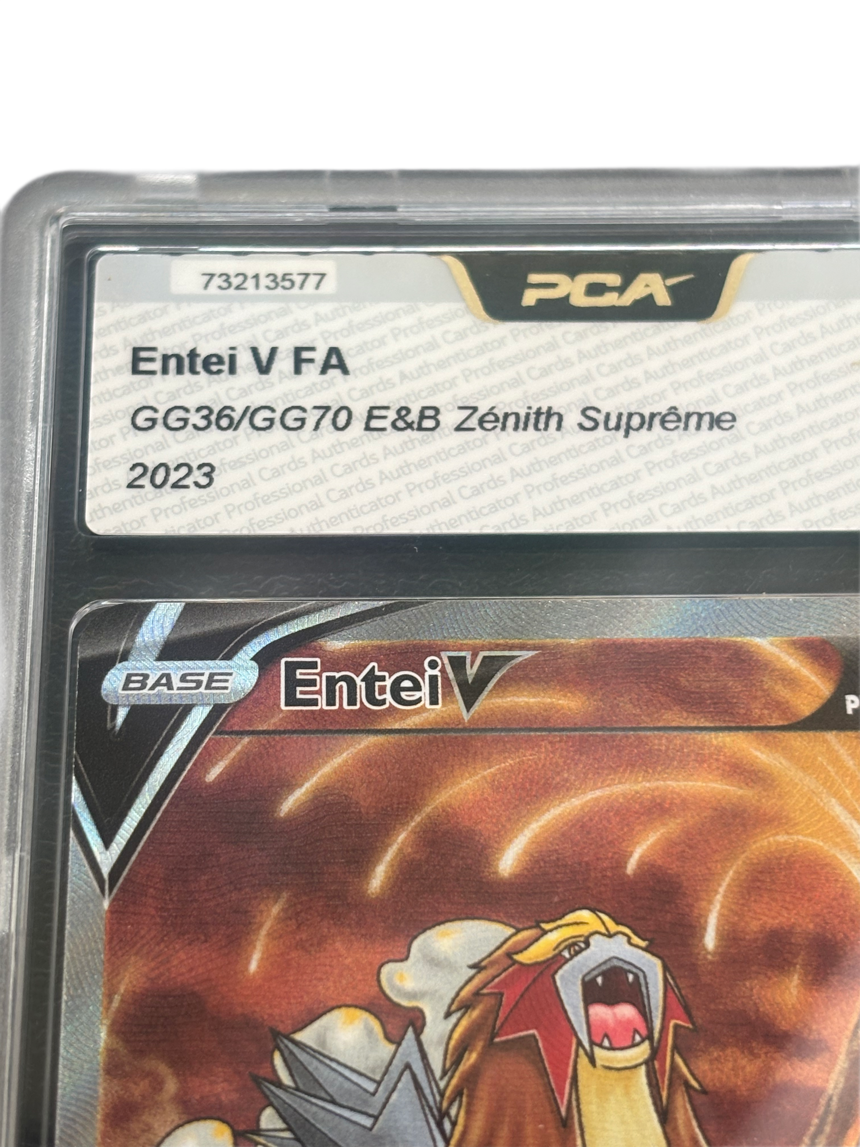 Entei V GG36/GG70 – PCA 9.5