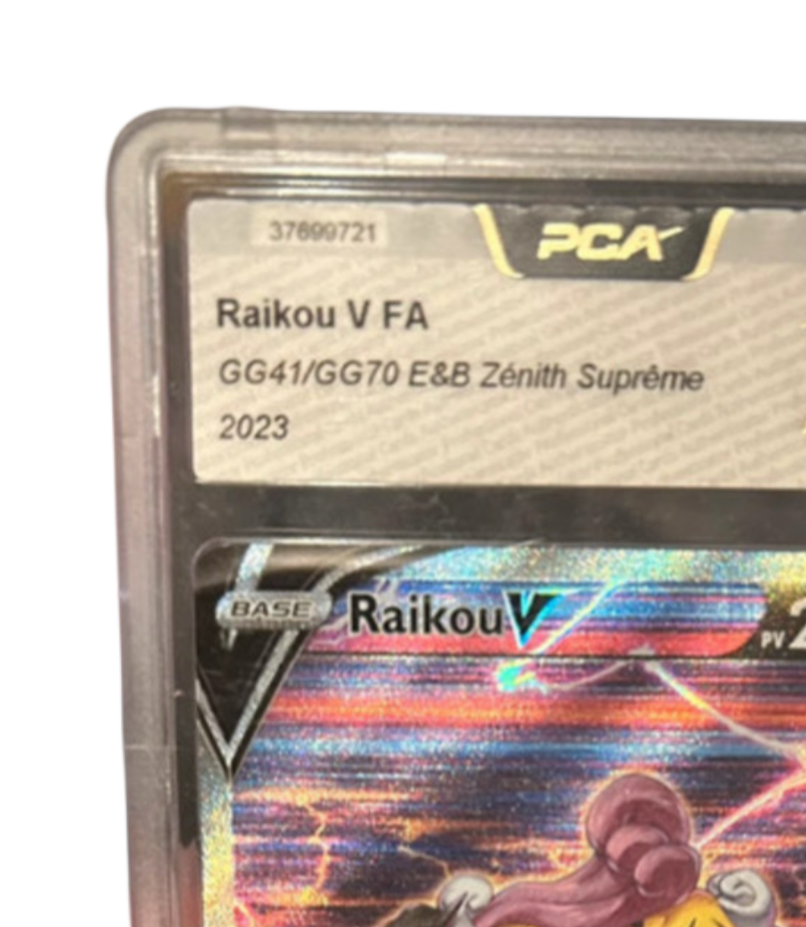 Raikou V GG41/GG70 – PCA 9.5